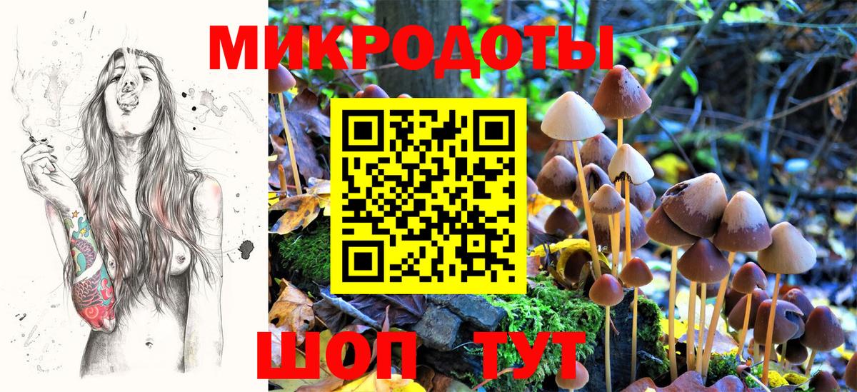 Галлюциногенные грибы Cubensis Михайловка